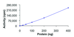EGFR (L861Q), active, GST tagged human PRECISIO&#174;, recombinant, expressed in baculovirus infected Sf9 cells, &#8805;70% (SDS-PAGE), buffered aqueous glycerol solution