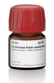 Tyrosinase from mushroom lyophilized powder, &#8805;1000&#160;unit/mg solid