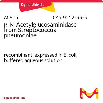 &#946;-N-Acetylglucosaminidase from Streptococcus pneumoniae recombinant, expressed in E. coli, buffered aqueous solution