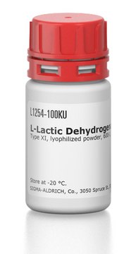 L-Lactic Dehydrogenase from rabbit muscle Type XI, lyophilized powder, 600-1,200&#160;units/mg protein