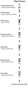 GenElute&#8482; Plant Genomic DNA Miniprep Kit sufficient for 10&#160;purifications