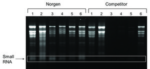 Plant/Fungi RNA Purification Kit sufficient for 50 purifications