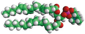 20:4 (Cis) PC 1,2-diarachidonoyl-sn-glycero-3-phosphocholine, chloroform