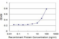 Monoclonal Anti-BST2, (C-terminal) antibody produced in mouse clone 3H4, purified immunoglobulin, buffered aqueous solution