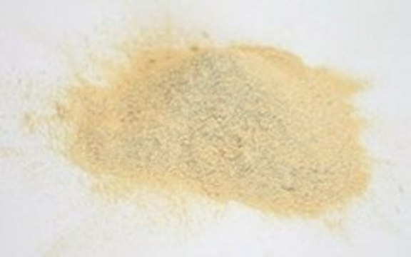 Yeast Extract from Saccharomyces cerevisiae, powder