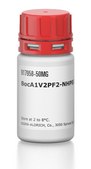 BocA1V2PF2-NHPEG1-NH2