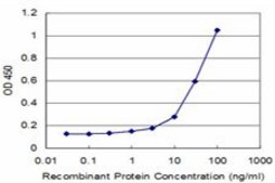 Monoclonal Anti-NFE2 antibody produced in mouse clone 2C6, purified immunoglobulin, buffered aqueous solution