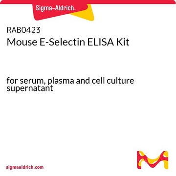 Mouse E-Selectin ELISA Kit for serum, plasma and cell culture supernatant