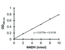 Phosphofructokinase (PFK) Activity Colorimetric Assay Kit sufficient for 100&#160;colorimetric&nbsp;tests