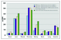 High Pure miRNA Isolation Kit kit of for 50 isolations