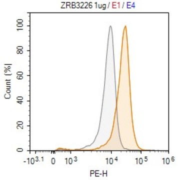 Anti-CD98/SLC3A2 Antibody, clone 3B15 ZooMAb&#174; Rabbit Monoclonal recombinant, expressed in HEK 293 cells