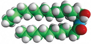 N-C12-desoxymethylsphinganine N-lauroyl-1-desoxymethylsphinganine (m17:0/12:0), powder