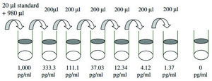 Human Oncostatin M (OSM) ELISA Kit for serum, plasma, cell culture supernatants and urine