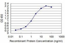 ANTI-T antibody produced in mouse clone 5E12, purified immunoglobulin, buffered aqueous solution