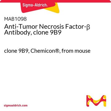 Anti-Tumor Necrosis Factor-&#946; Antibody, clone 9B9 clone 9B9, Chemicon&#174;, from mouse