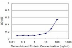 Monoclonal Anti-PKN1 antibody produced in mouse clone 1A4, purified immunoglobulin, buffered aqueous solution