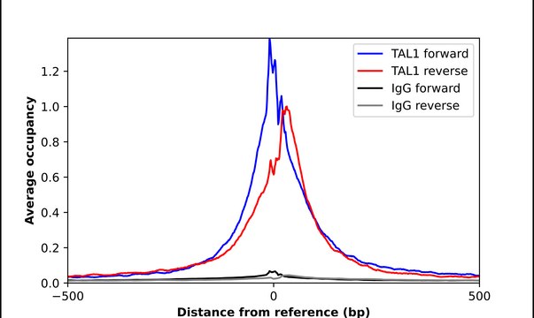 Anti-TAL1 antibody produced in rabbit Prestige Antibodies&#174; Powered by Atlas Antibodies, affinity isolated antibody