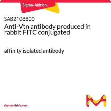 Anti-Vtn antibody produced in rabbit FITC conjugated affinity isolated antibody