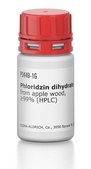 Phloridzin dihydrate from apple wood, &#8805;99% (HPLC)