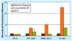 X-tremeGENE&#8482; HP DNA Transfection Reagent High-performance polymer reagent for transfecting many cell lines