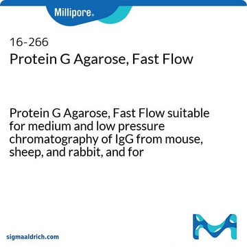 Protein G Agarose, Fast Flow Protein G Agarose, Fast Flow suitable for medium and low pressure chromatography of IgG from mouse, sheep, and rabbit, and for immunoprecipitations.