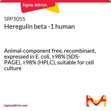 Heregulin beta -1 human Animal-component free, recombinant, expressed in E. coli, &#8805;98% (SDS-PAGE), &#8805;98% (HPLC), suitable for cell culture