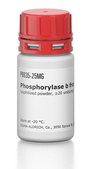 Phosphorylase b from rabbit muscle lyophilized powder, &#8805;20&#160;units/mg protein, 2&#215; crystallization