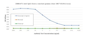 Anti-IgG1 Fc &#947; chain Antibody, clone 1B17 ZooMAb&#174; Rabbit Monoclonal recombinant, expressed in HEK 293 cells