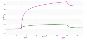 Anti-S1PR2 Antibody, clone 1C18 ZooMAb&#174; Rabbit Monoclonal recombinant, expressed in HEK 293 cells