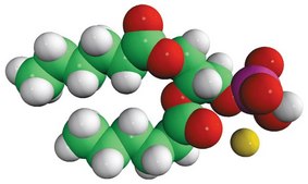 06:0 PA Avanti Research&#8482; - A Croda Brand