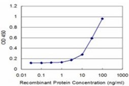 Monoclonal Anti-RET antibody produced in mouse clone 1A5, purified immunoglobulin, buffered aqueous solution