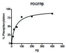 PDGFRb active human recombinant, expressed in baculovirus infected Sf9 cells, &#8805;70% (SDS-PAGE)
