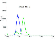 Anti-PAX-5 antibody, Rabbit monoclonal recombinant, expressed in proprietary host, clone SP34, affinity isolated antibody