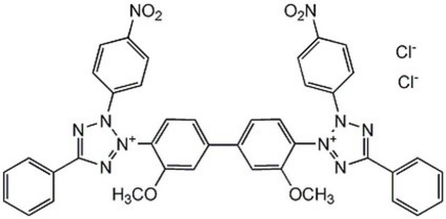 p-Nitroblue Tetrazolium Chloride NADPH-diaphorase substrate that competitively inhibits nitric oxide synthase (IC50 = 3-4 &#181;M).