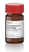 Amphotericin B solubilized powder, &#947;-irradiated, BioXtra, suitable for cell culture