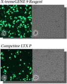 X-tremeGENE&#8482; 9 DNA Transfection Reagent Polymer reagent for transfecting common cell lines
