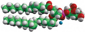 16:0-18:1 PI 1-palmitoyl-2-oleoyl-sn-glycero-3-phosphoinositol (ammonium salt), powder