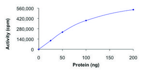 MET (M1250T), active, GST tagged human PRECISIO&#174;, recombinant, expressed in baculovirus infected Sf9 cells, &#8805;70% (SDS-PAGE), buffered aqueous glycerol solution