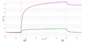 Anti-CTNND1/p120CTN Antibody, clone 2C22 ZooMAb&#174; Rabbit Monoclonal recombinant, expressed in HEK 293 cells