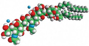 Ganglioside GD3 (Bovine Milk) Avanti Research&#8482; - A Croda Brand