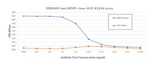 Anti-BNIP3 Antibody, clone 1G21 ZooMAb&#174; Rabbit Monoclonal recombinant, expressed in HEK 293 cells