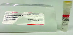 2&#8242;-Deoxyadenosine 5&#8242;-triphosphate sodium salt solution 100&#160;mM, pH 7