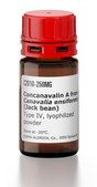 Concanavalin A from Canavalia ensiformis (Jack bean) Type IV, lyophilized powder