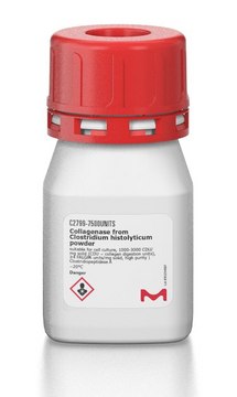 Collagenase from Clostridium histolyticum powder, suitable for cell culture, &#8805;4&#160;FALGPA units/mg solid, high purity, &#8805;700&#160;CDU/mg solid (CDU = collagen digestion units)