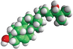 24(S)-hydroxycholesterol Avanti Research&#8482; - A Croda Brand