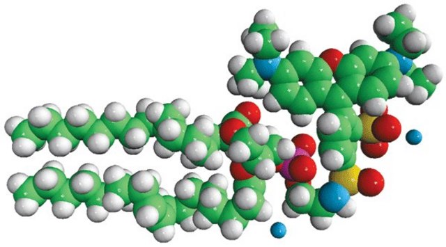 Egg Liss Rhod PE Avanti Research&#8482; - A Croda Brand