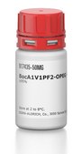 BocA1V1PF2-OPEG1-NH2 hydrochloride ≥95%