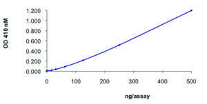PTPN13 (2169-2485), active, GST tagged human recombinant, expressed in E. coli, &#8805;70% (SDS-PAGE), buffered aqueous glycerol solution