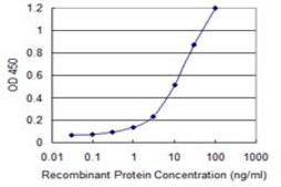 Monoclonal Anti-IL18RAP antibody produced in mouse clone 4G4, purified immunoglobulin, buffered aqueous solution
