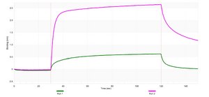 Anti-CD62E Antibody, clone 1I3-H1 ZooMAb&#174; Rabbit Monoclonal recombinant, expressed in HEK 293 cells